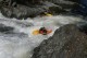 Thumbs/tn_Img_7294.jpg