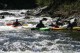 Thumbs/tn_Img_7309.jpg