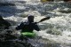 Thumbs/tn_Img_7310.jpg