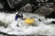 Thumbs/tn_Img_7315.jpg