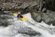 Thumbs/tn_Img_7317.jpg
