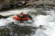 Thumbs/tn_Img_7354.jpg
