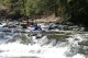 Thumbs/tn_Img_7385.jpg