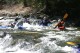 Thumbs/tn_Img_7387.jpg