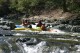 Thumbs/tn_Img_7419.jpg
