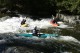 Thumbs/tn_Img_7431.jpg