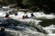 Thumbs/tn_Img_7466.jpg