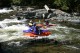 Thumbs/tn_Img_7472.jpg