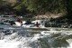 Thumbs/tn_Img_7482.jpg