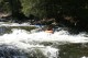 Thumbs/tn_Img_7485.jpg