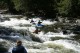 Thumbs/tn_Img_7488.jpg