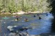 Thumbs/tn_Img_7493.jpg