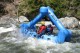 Thumbs/tn_Img_7652.jpg