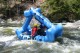 Thumbs/tn_Img_7654.jpg