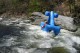 Thumbs/tn_Img_7656.jpg