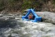 Thumbs/tn_Img_7658.jpg