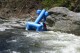 Thumbs/tn_Img_7663.jpg