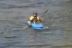Thumbs/tn_Img_7697.jpg