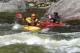 Thumbs/tn_Img_7716.jpg