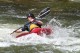 Thumbs/tn_Img_7721.jpg