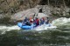 Thumbs/tn_Img_7725.jpg