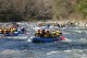 Thumbs/tn_Img_7728.jpg