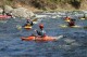 Thumbs/tn_Img_7743.jpg