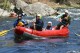 Thumbs/tn_Img_7768.jpg