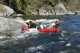 Thumbs/tn_Img_7770.jpg