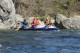 Thumbs/tn_Img_7784.jpg