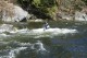 Thumbs/tn_Img_7798.jpg