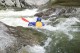 Thumbs/tn_Img_7808.jpg