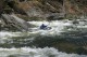 Thumbs/tn_Img_7834.jpg