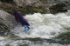 Thumbs/tn_Img_7856.jpg