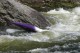 Thumbs/tn_Img_7858.jpg