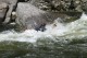 Thumbs/tn_Img_7868.jpg