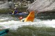 Thumbs/tn_Img_7996.jpg