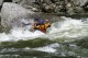 Thumbs/tn_Img_8011.jpg