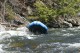 Thumbs/tn_Img_8091.jpg