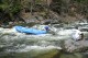 Thumbs/tn_Img_8098.jpg