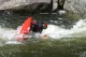 Thumbs/tn_Img_8143.jpg
