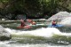 Thumbs/tn_Img_8196.jpg