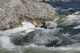 Thumbs/tn_Img_8203.jpg