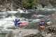 Thumbs/tn_Img_8210.jpg