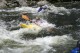 Thumbs/tn_Img_8211.jpg