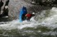 Thumbs/tn_Img_8236.jpg