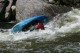 Thumbs/tn_Img_8237.jpg