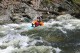 Thumbs/tn_Img_8284.jpg