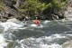 Thumbs/tn_Img_8295.jpg