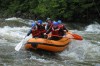 Thumbs/tn_Img_4948.jpg